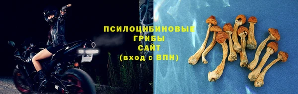 гашик Надым