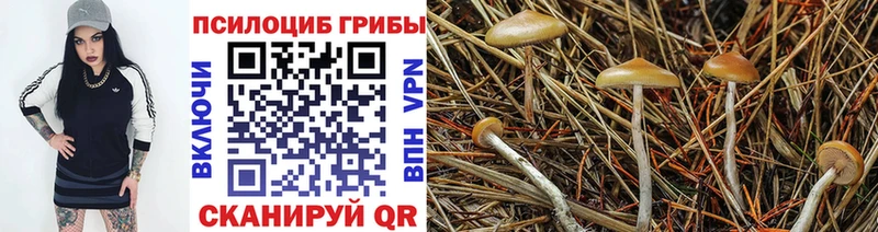 Галлюциногенные грибы мицелий Тюкалинск
